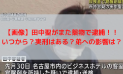 田中聖　覚醒剤　逮捕