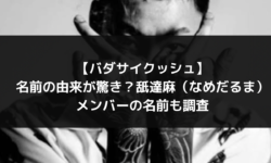 バダサイクッシュ　舐達麻　名前　メンバー